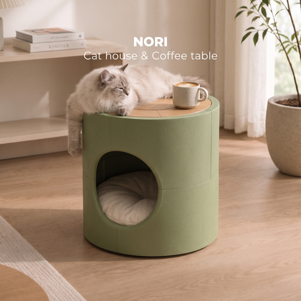 Peștera NORI — Verde Matcha, pisică tolănită deasupra